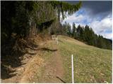 Trbovlje - Homič